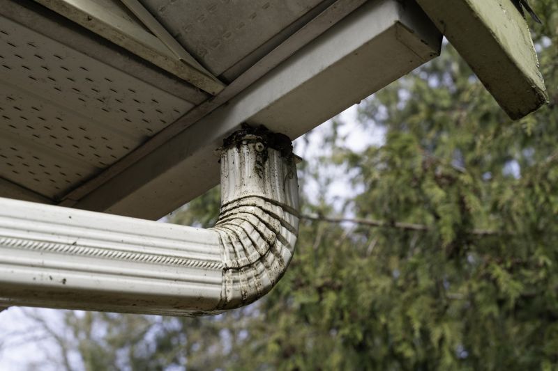 Downspout Cleaning in Arvada, CO