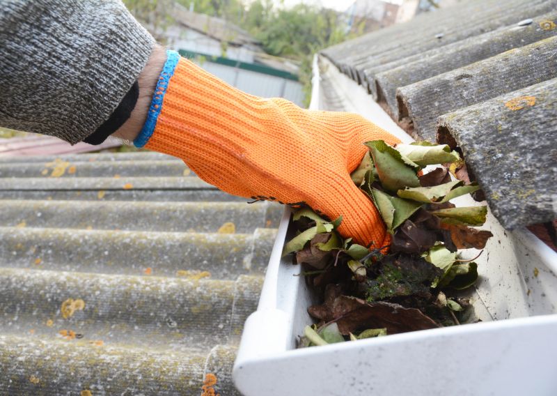 Gutter Blockage Removal in Annapolis, MD