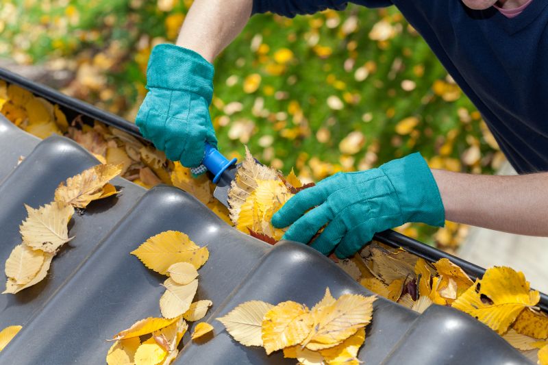 Business Gutter Cleaning in Sacramento, CA