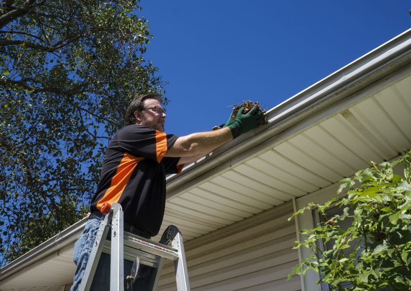 Clogged Gutter Clearing in Frederick, MD