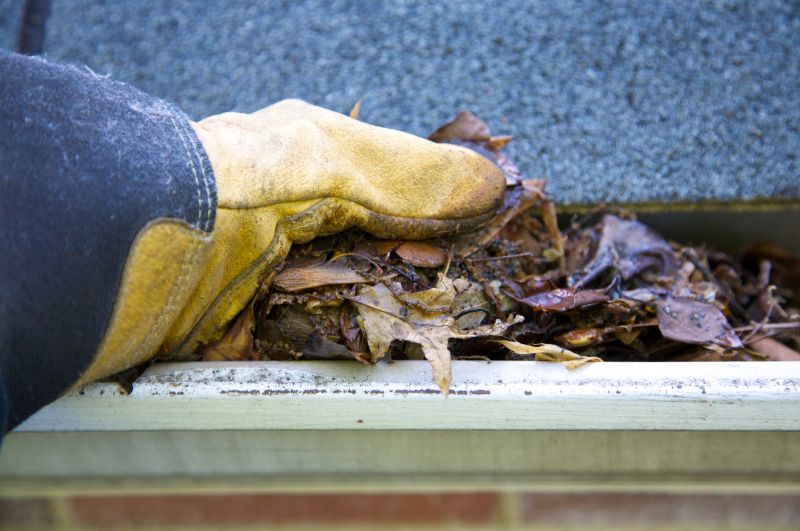 Clogged Gutter Clearing in Fredericksburg, VA