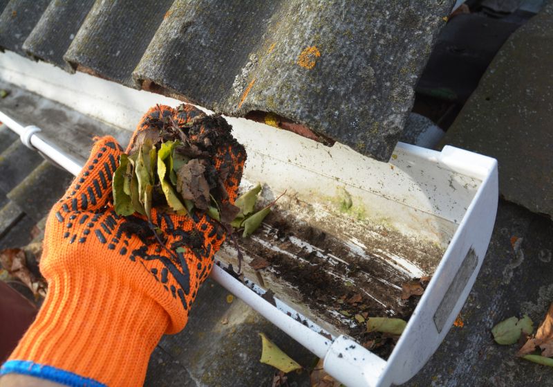 Garage Gutter Cleaning in Bergen County, NJ