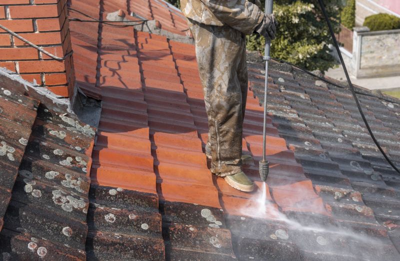 Garage Roof Cleaning in Vancouver, WA
