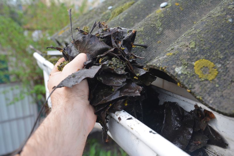 Gutter Blockage Removal in Arvada, CO