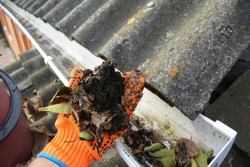 Gutter Leaf Clearing in Arvada, CO