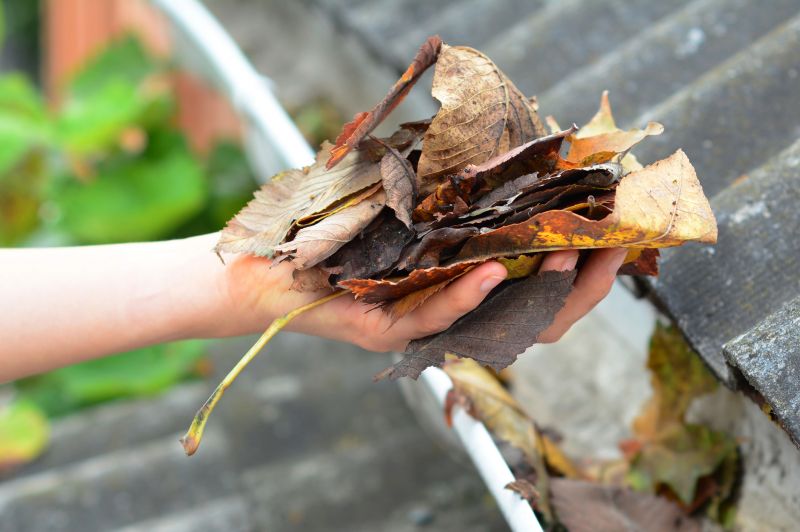 Gutter Leaf Clearing in Richmond, VA