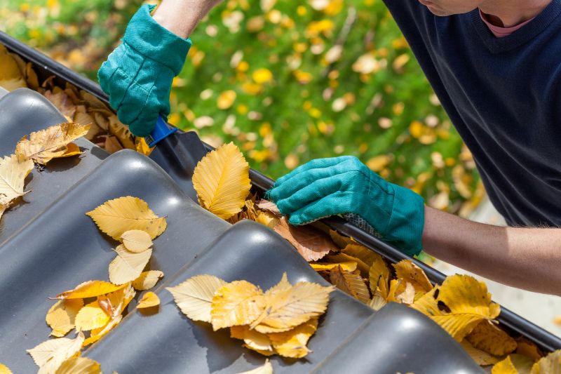Gutter Leaves Removal in Fredericksburg, VA