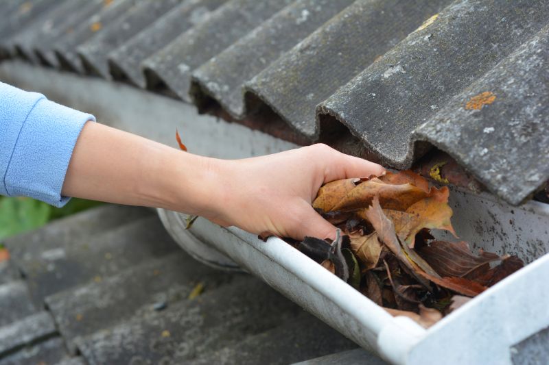 Roof Gutter Cleaning in Arvada, CO