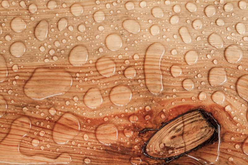 Wood Waterproofing in Renton, WA